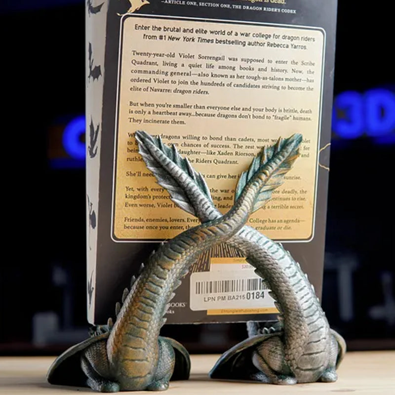 🐉✨Twin Flame Dragon Bookshelf