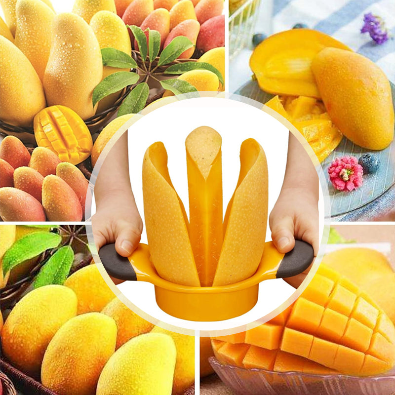 ✨ Stainless steel mango splitter