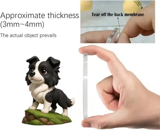 2025 Border Collie Advent Calendar