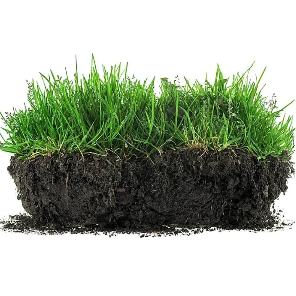 Viresta Soil Revitalizer - Viresta S-Oil Activator for Plants, Lawn & Garden Soil Conditioner - Plant Food Enhancer, Concentrated Humic Acid Formula - Promotes Root Growth & Nutrient Uptake