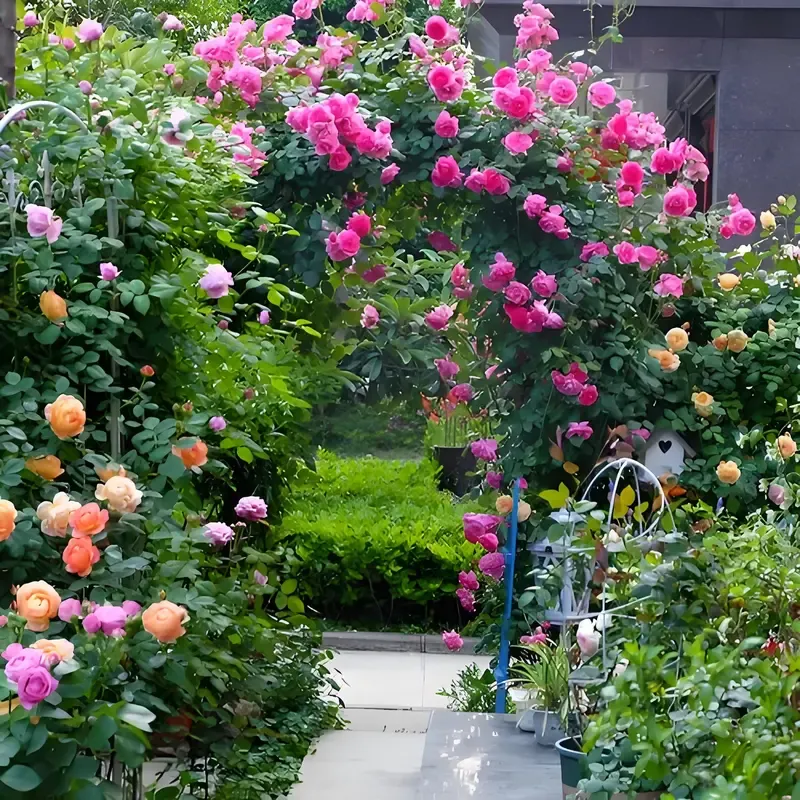 200 pcs mixed flower seeds Climbing vine rose all season flowering Climbing wall climbing courtyard houseplant Garden Outdoor