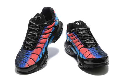 Nike Air Max Plus TN 1 “Unity Berlin”
