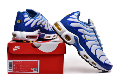 Nike Air Max Plus TN 1 “Blue/Yellow”