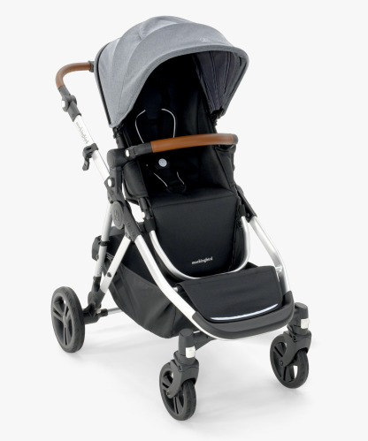 Single-to-Double Stroller 2.0