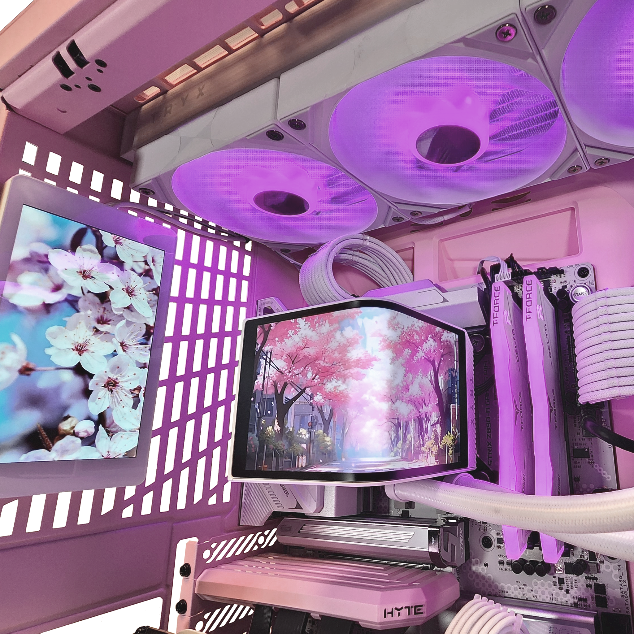 Sakura Y70 Custom Gaming Desktop – GX13 Black Label