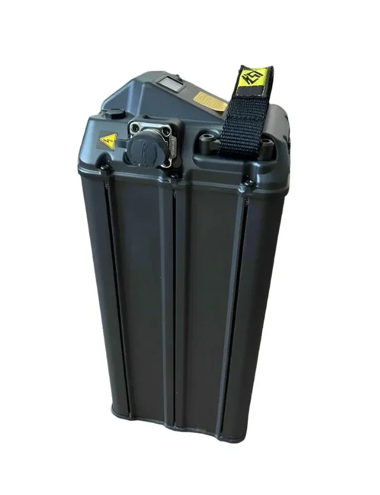 2025 Surron Light Bee X