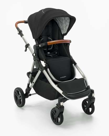 Single-to-Double Stroller 2.0