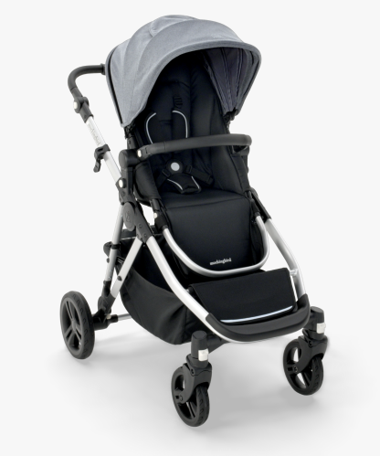 Single-to-Double Stroller 2.0