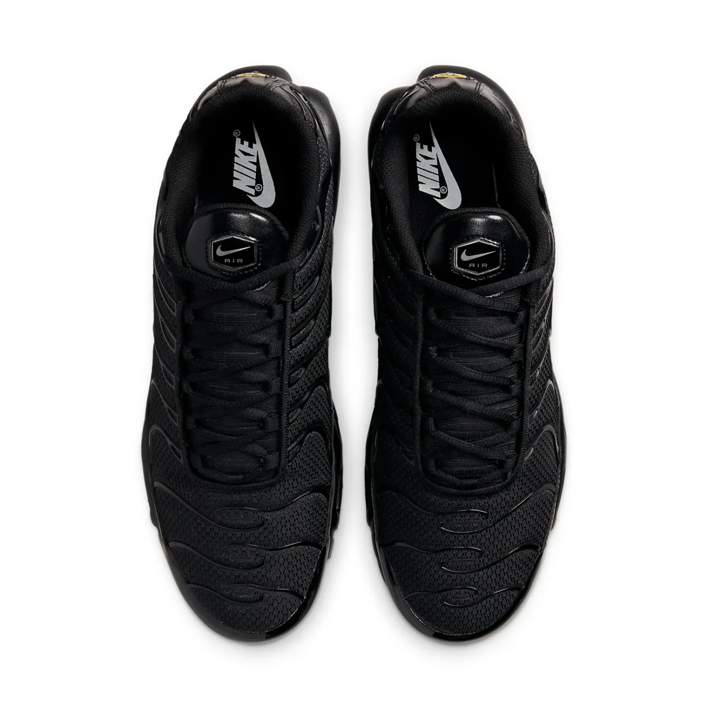 Air Max Plus 'Triple Black' 604133-050