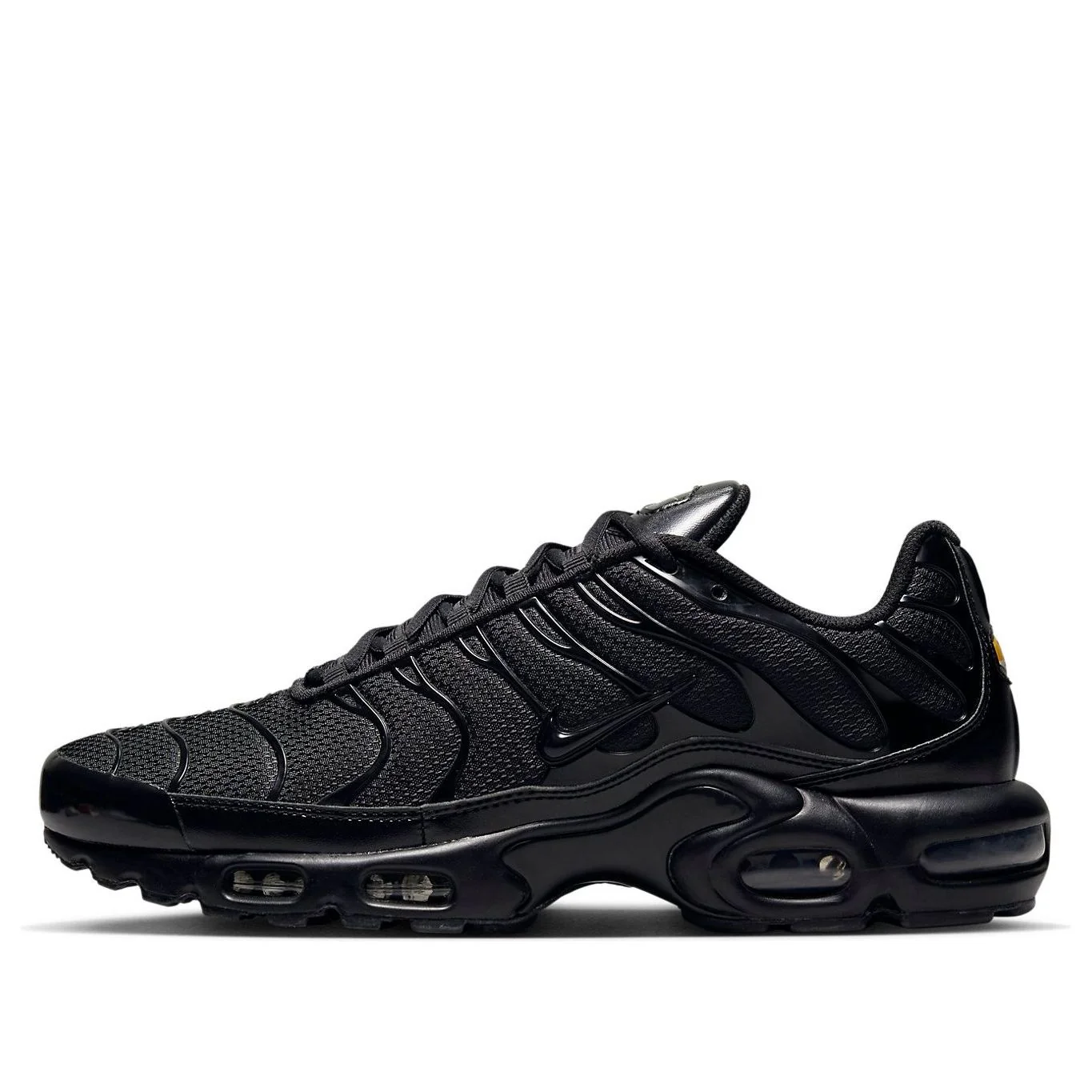 Air Max Plus 'Triple Black' 604133-050