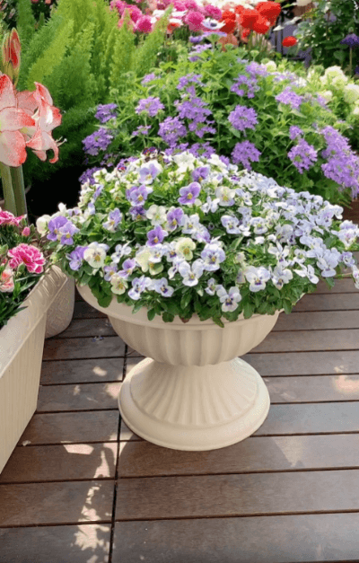 翻译_06.gif