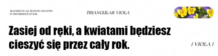 翻译_21.jpg