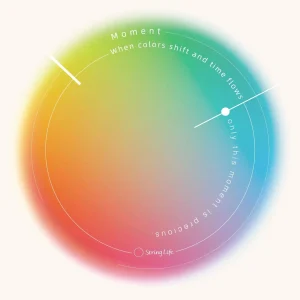  Tactile & Fidget Decor