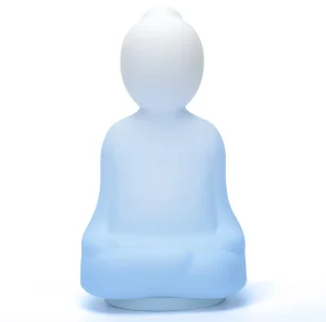 Meditation & Mindfulness