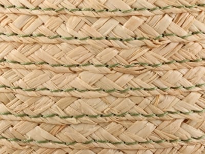 Raffia Straw