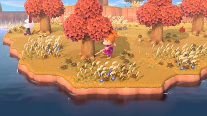 Animal Crossing : New Horizons pour Nintendo Switch