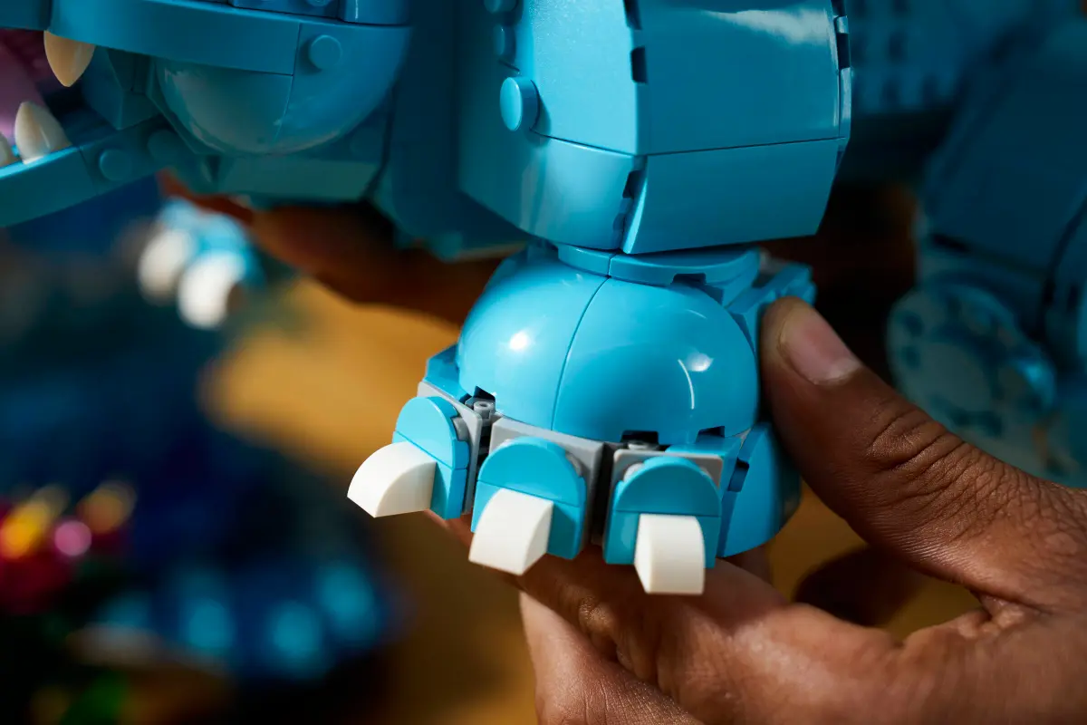 Florizarre, Dracaufeu et Tortank