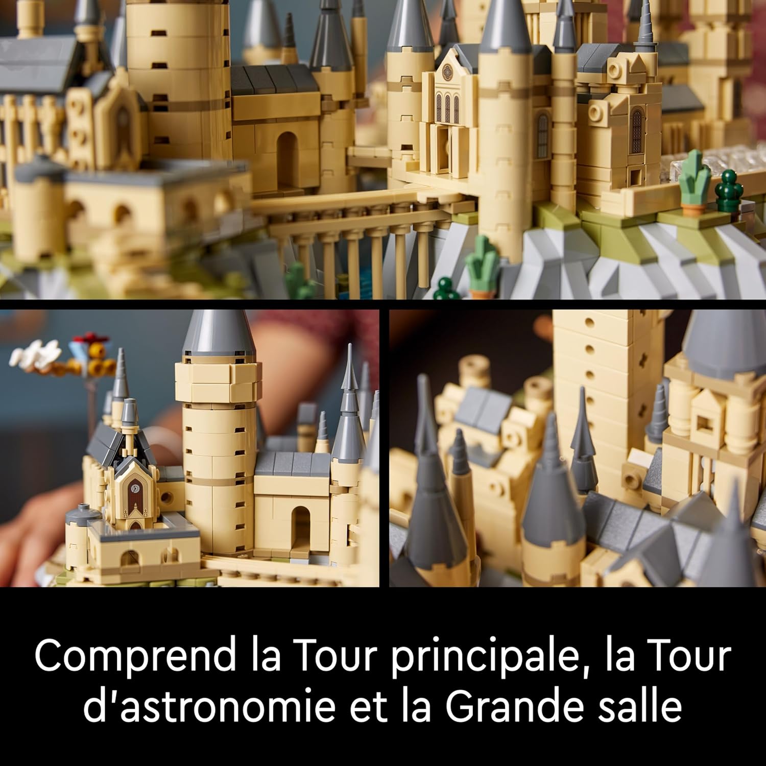 LEGO 76419 Harry Potter Castle and Hogwarts Estate, Large Buildable Model for Adults, Including Iconic Places: Astronomy Tower, Grand Hall, Chamber of Secrets and More