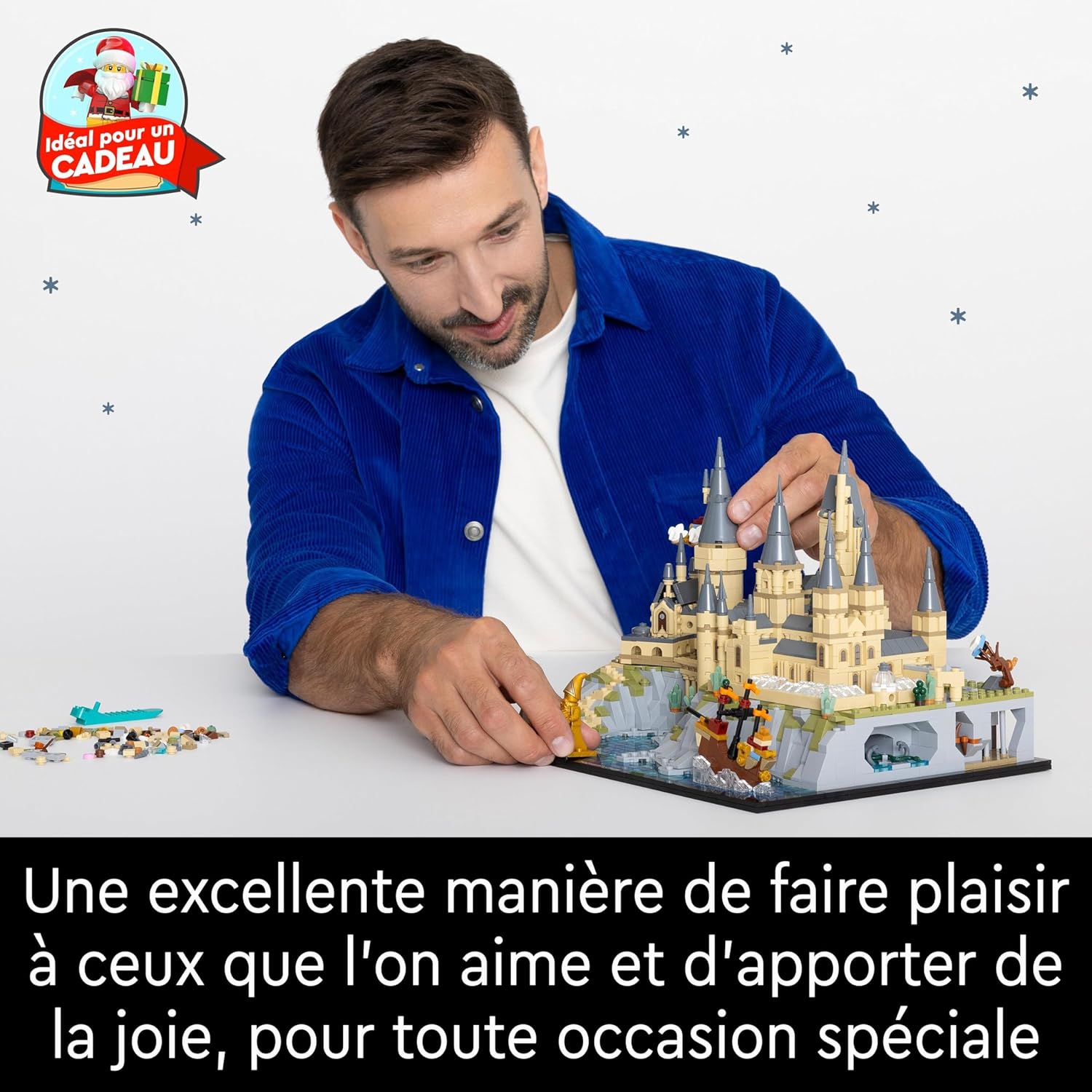 LEGO 76419 Harry Potter Castle and Hogwarts Estate, Large Buildable Model for Adults, Including Iconic Places: Astronomy Tower, Grand Hall, Chamber of Secrets and More