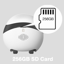 SD Card Storage