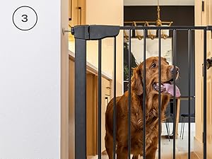 Double-Lock Safety Release