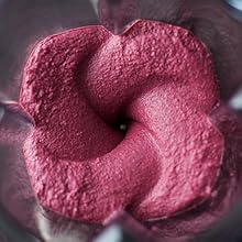 Vitamix Vortex