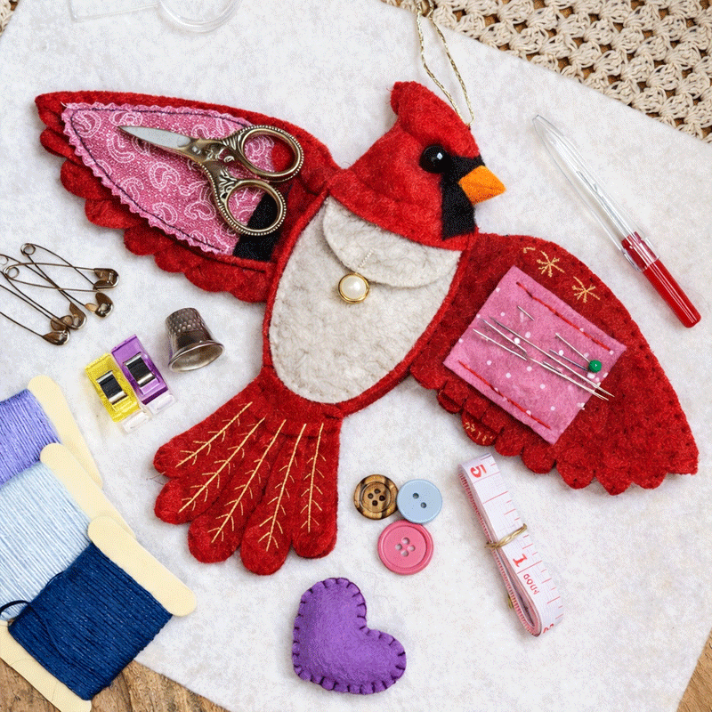 🖤 “Raven’s Keepsake – Guardian of Stitches” 🪡✨