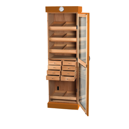 Single Door Cigar Cabinet
