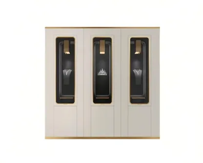 Custom Luxury Jewelry Wall Display Cabinet