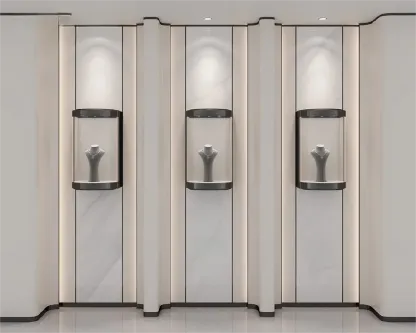 Custom Luxury Jewelry Wall Display Cabinet