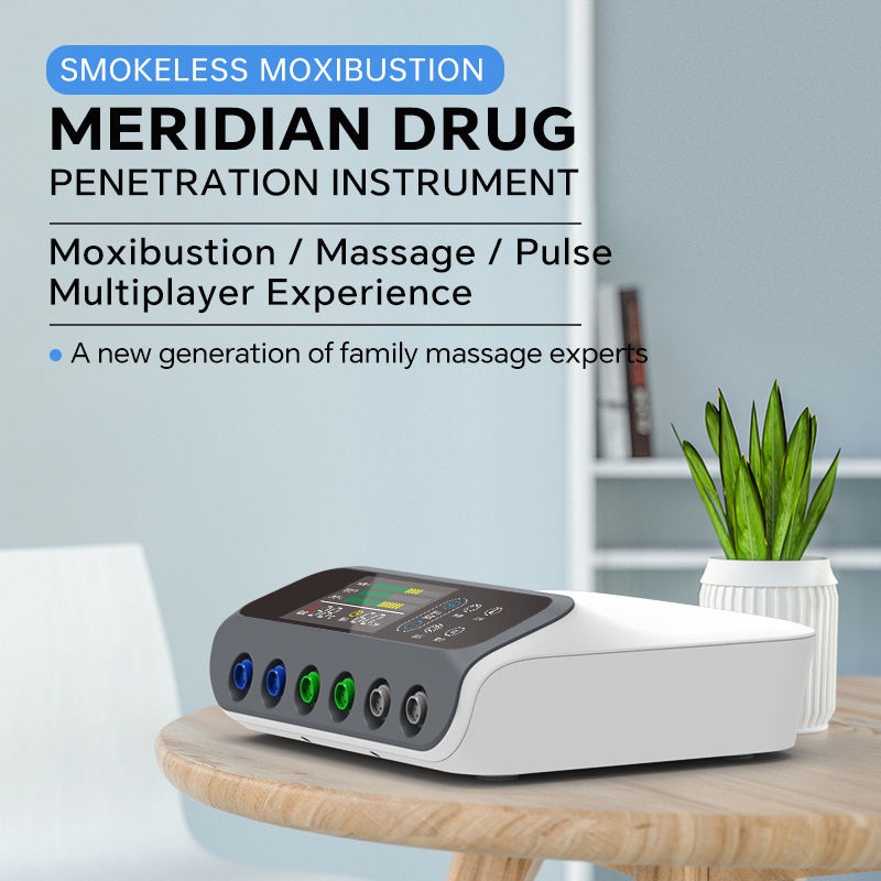 Portable Electric Moxibustion Therapy Device