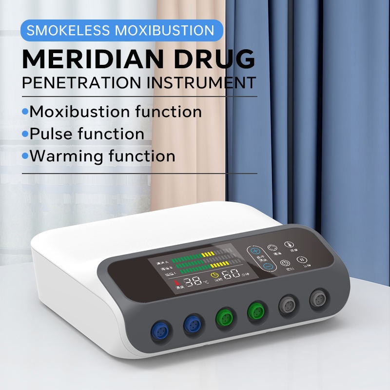 Portable Electric Moxibustion Therapy Device