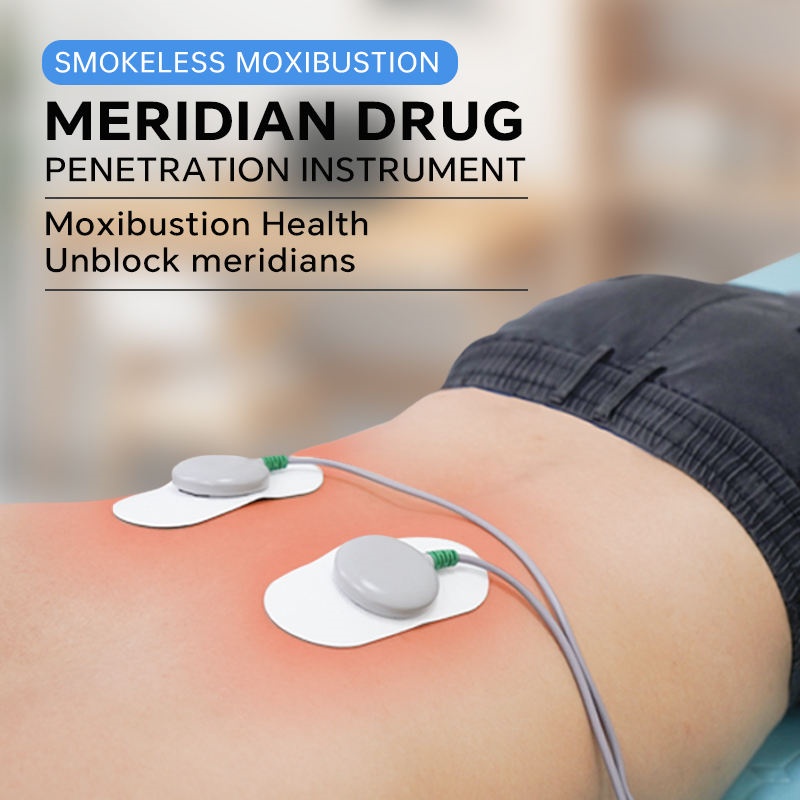 Portable Electric Moxibustion Therapy Device