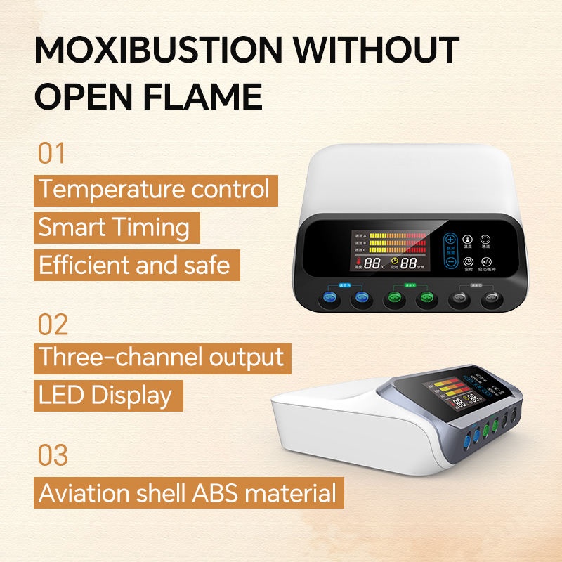 Portable Electric Moxibustion Therapy Device