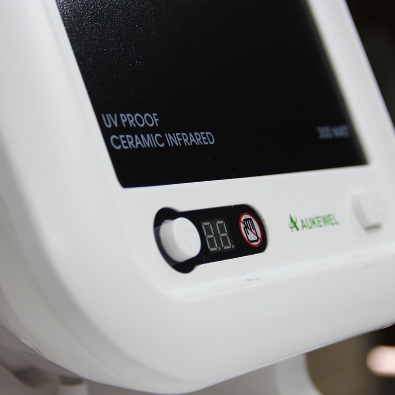 300W Portable Near Infrared Red Light Therapy Device for Pain Relief & Home Use, Adjustable Timer, OEM/ODM Supported 