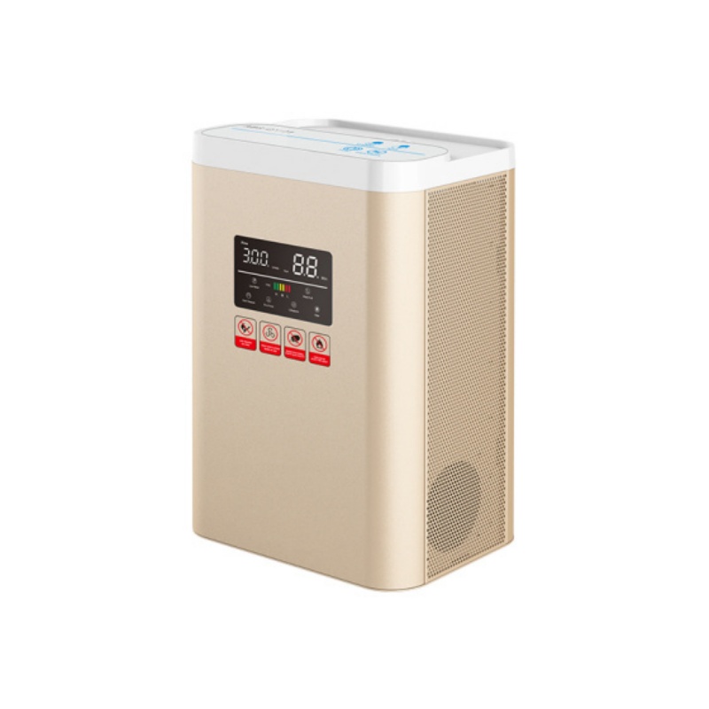 Portable Hydrogen Inhaler for home