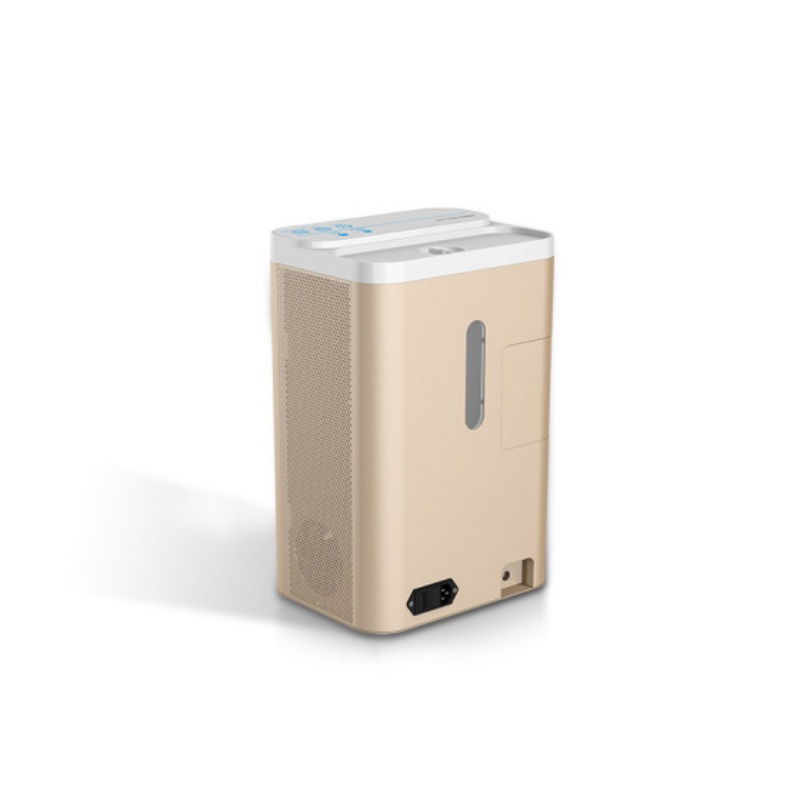 Portable Hydrogen Inhaler for home