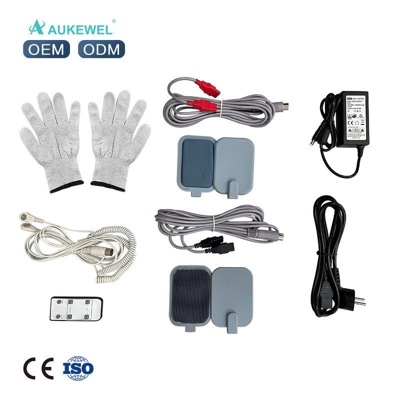  Whosale Multi-Function Body Bioelectric Meridian Dredge Pulse Physiotherapy Instrument Dds Bio Electric Massage AK-2000-VI