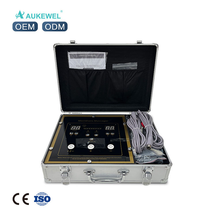  Whosale Multi-Function Body Bioelectric Meridian Dredge Pulse Physiotherapy Instrument Dds Bio Electric Massage AK-2000-VI