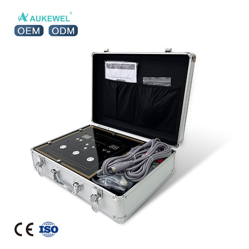  Whosale Multi-Function Body Bioelectric Meridian Dredge Pulse Physiotherapy Instrument Dds Bio Electric Massage AK-2000-VI