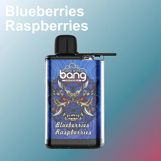 Bang 28000 Ice Disposable Vape | 28K Puffs Vape - CloudovaVape