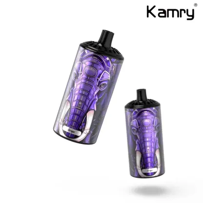 Kamry Boss 10000 Puffs Disposable Vape | Bold Design, 20ml 2% Nicotine Salt, Rechargeable 600mAh & Mesh Coil | Wholesale Disposable Vape - CloudovaVape