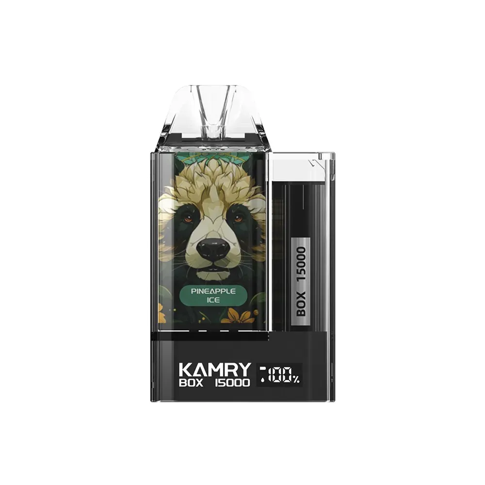 Kamry Box 15000 Puffs Disposable Vape | Rechargeable 500mAh Battery & 30ml Pod | 20mg & 50mg Nicotine Salt | CloudovaVape