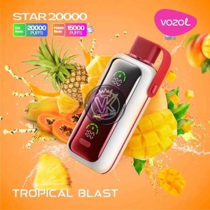 Vozol Star 20000 Puffs Disposable Vape | Dual Mesh Coil | Rechargeable Vape with Mirror Screen & Dual Mode | Wholesale - CloudovaVape