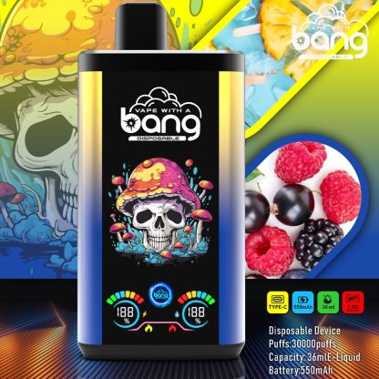 Bang 30K Pro Disposable Vape – 30,000 Puffs with Dual-Flavor Switching