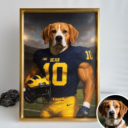 🏈Custom Pet Football Portrait Art Frame NFL NCAA Football Team