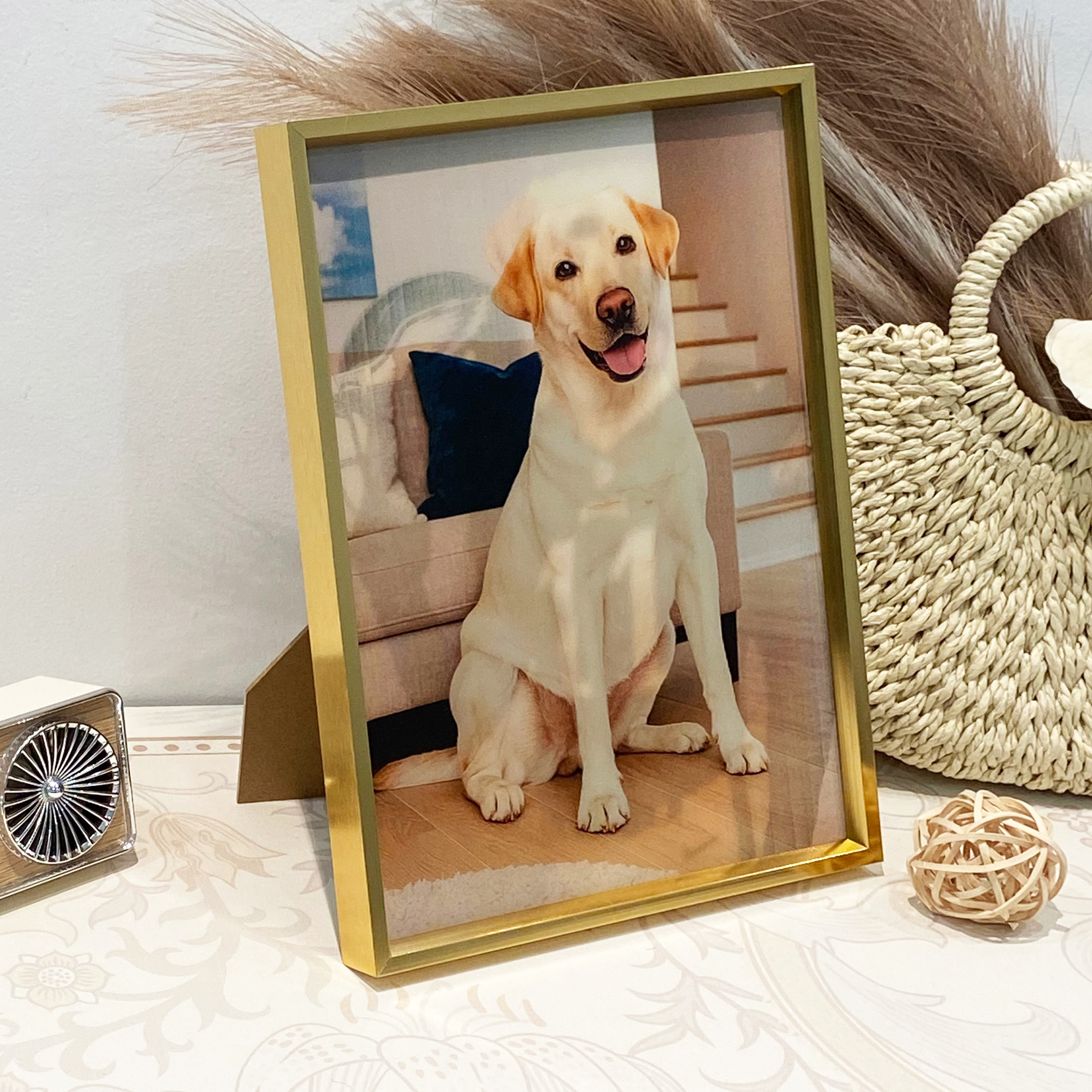 Custom American Football NFL Raster Pet Portraits 🏈 – CUSTJOY
