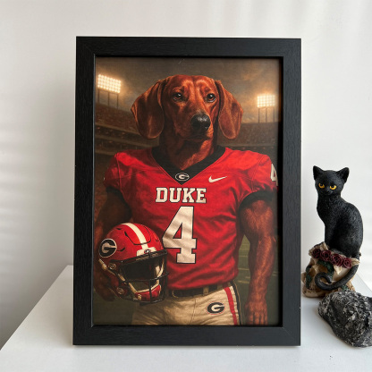 🏈Custom Pet Football Portrait Art Frame NFL NCAA Football Team
