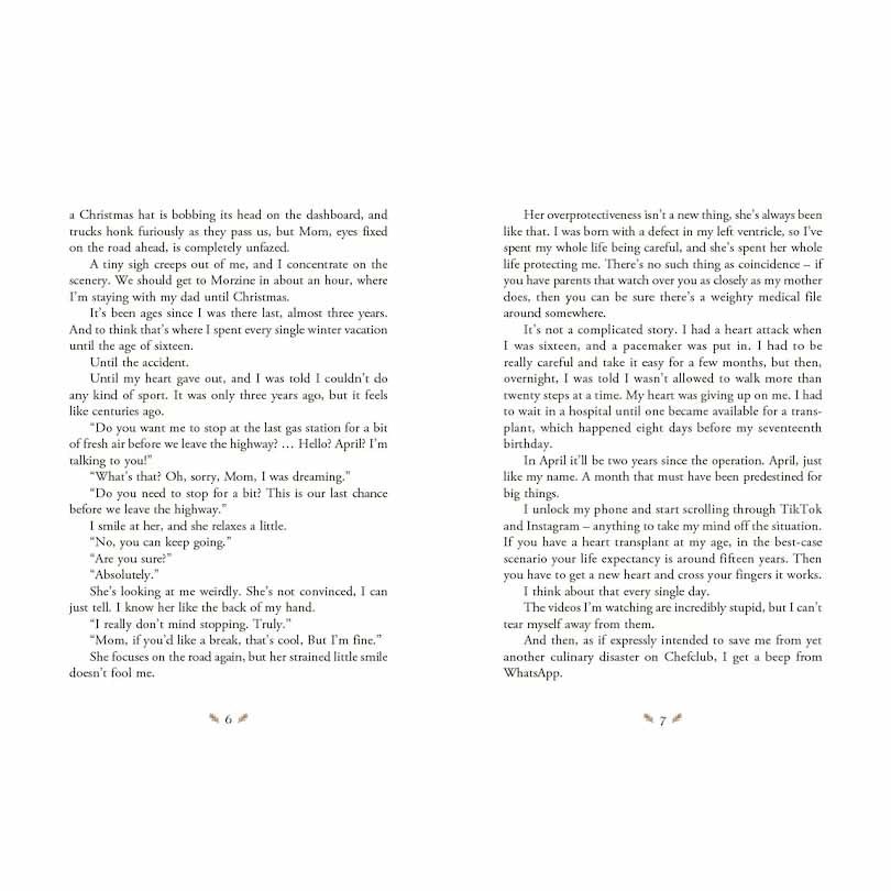 Christmas Advent Book