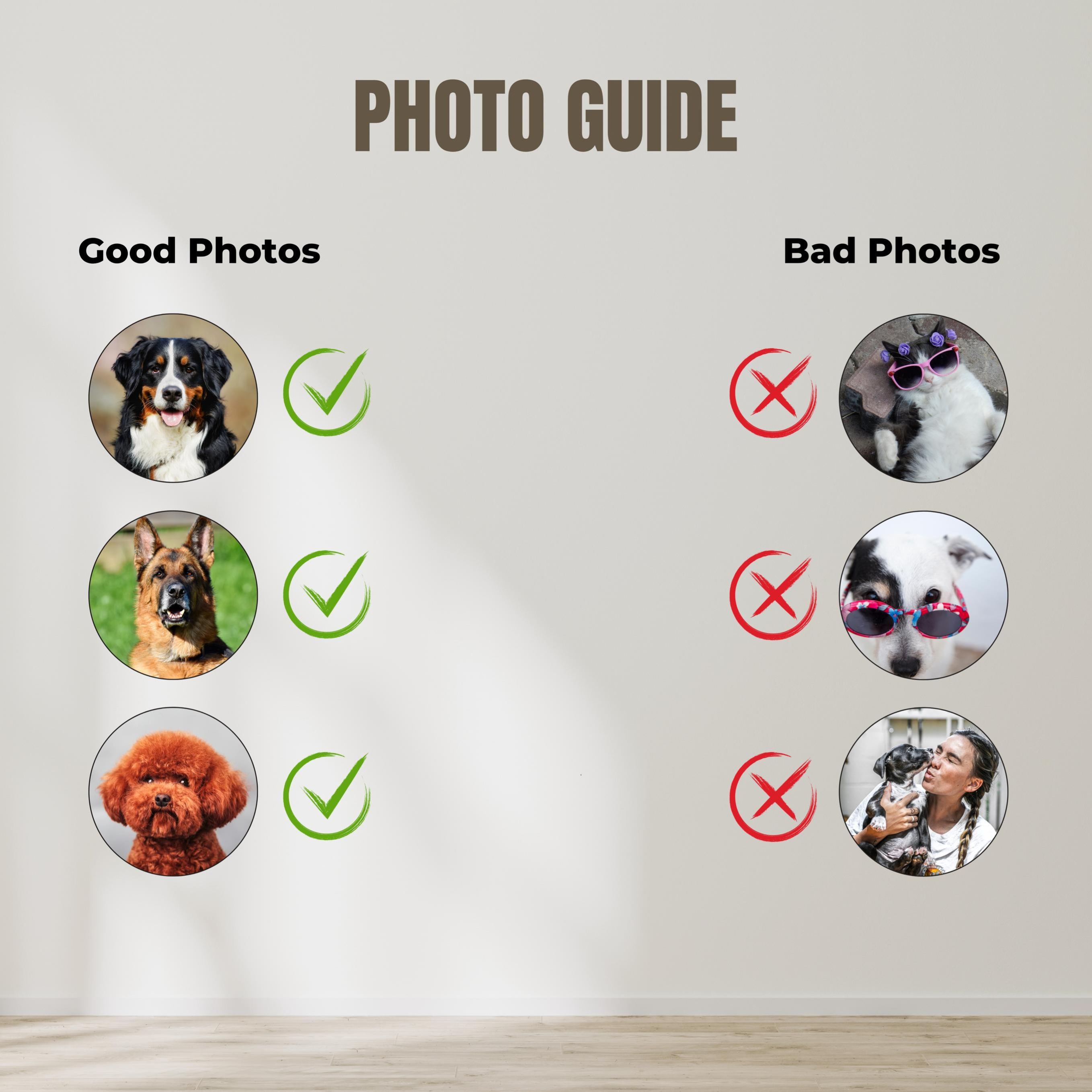 Custom American Football Pet Portrait with Team Jersey